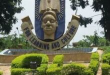 OAU to immortalise staff killed by lion