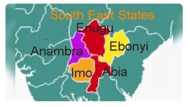 S’East commission targets $200bn economy by 2035 — Okoye