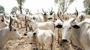 Scores killed, others injured as suspected herdsmen invade Ebonyi community