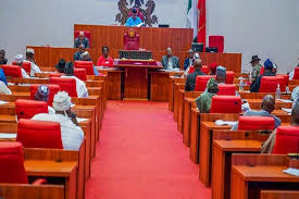 Senate moves against Japa syndrome