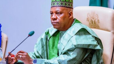 Shettima to ILO DG: Tinubu passionate about workers’ welfare