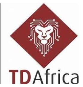 TD seeks brighter tech future for Africa with Accra Synergy Summit