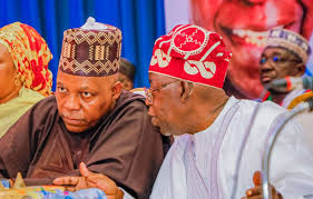 Tinubu, Shettima’s legislative background accounts for good working relationship with NASS — Ehindero