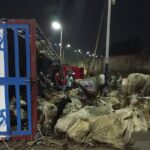 Customs hand over 4,973 loaves of cannabis, suspects to NDLEA
