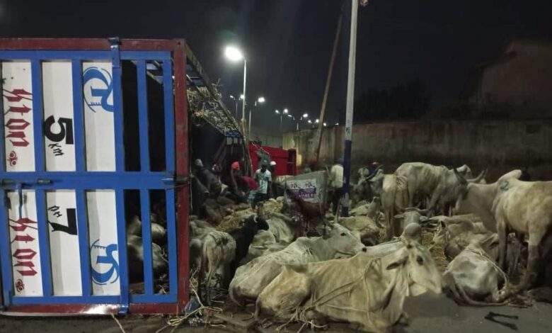 UPDATED: 14 injured as human, cow-laden truck falls from bridge in Plateau