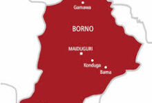 Vice Principal, wife, 3 children perish in Borno inferno