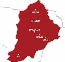 Vice Principal, wife, 3 children perish in Borno inferno