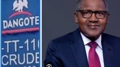 ‘If $23bn refinery didn’t work, I would have been dead’, says Dangote