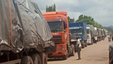 ACF condemns attacks on drivers of trucks in South East