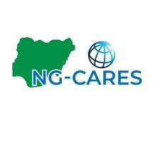 Bauchi seeks $500m additional NG-CARES fund