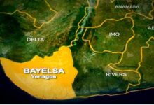 Bayelsa not a single-economy state, says govt