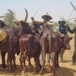 LG crisis: We’ve stayed home too long – Osun NULGE faction tells members