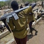 USAID’s alleged support for Boko Haram still unproven – Tuggar