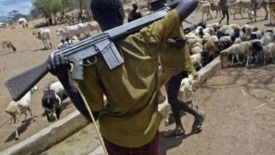 Two soldiers, three others killed in ambush by armed herdsmen in Benue