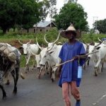 Leave Rivers Judiciary out of crisis – NBA urges Amaewhule, others