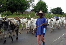 Violence erupts in Enugu community over alleged herdsmen attacks