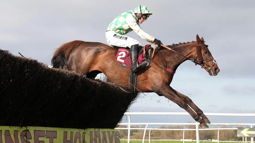Grand National horse that collapsed after final fence dies