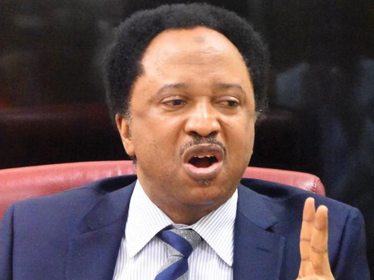 Shehu Sani rejects Miss World pageant judge appointment