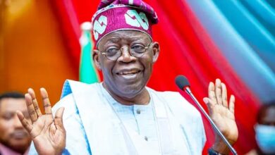 Tinubu not running Yoruba govt, Afenifere declares