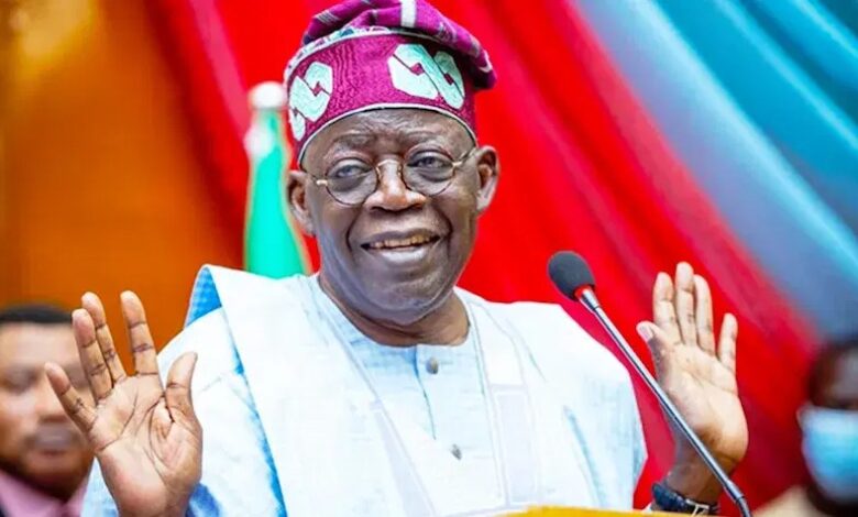 Tinubu not running Yoruba govt, Afenifere declares