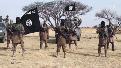 Understanding Nigeria’s new wave of jihadist attacks – Report